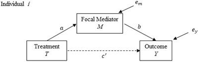 A Practical Guide to Causal Mediation Analysis: Illustration With a Comprehensive College Transition Program and Nonprogram Peer and Faculty Interactions